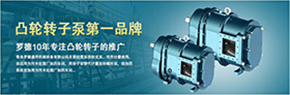 羅德轉(zhuǎn)子泵與南方某電機(jī)廠家技術(shù)交流，討論合作.