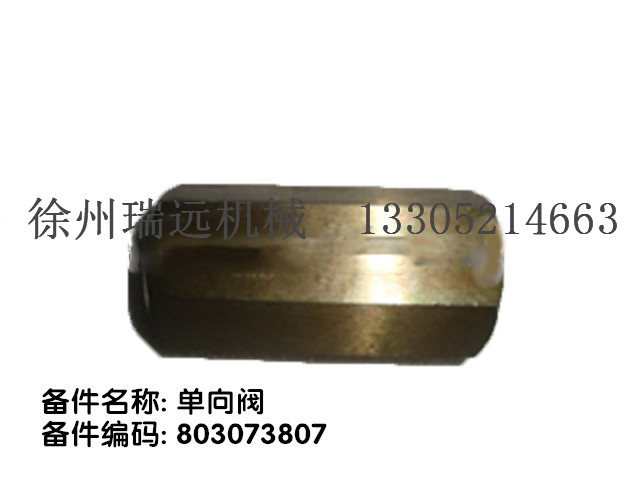 y 803073807